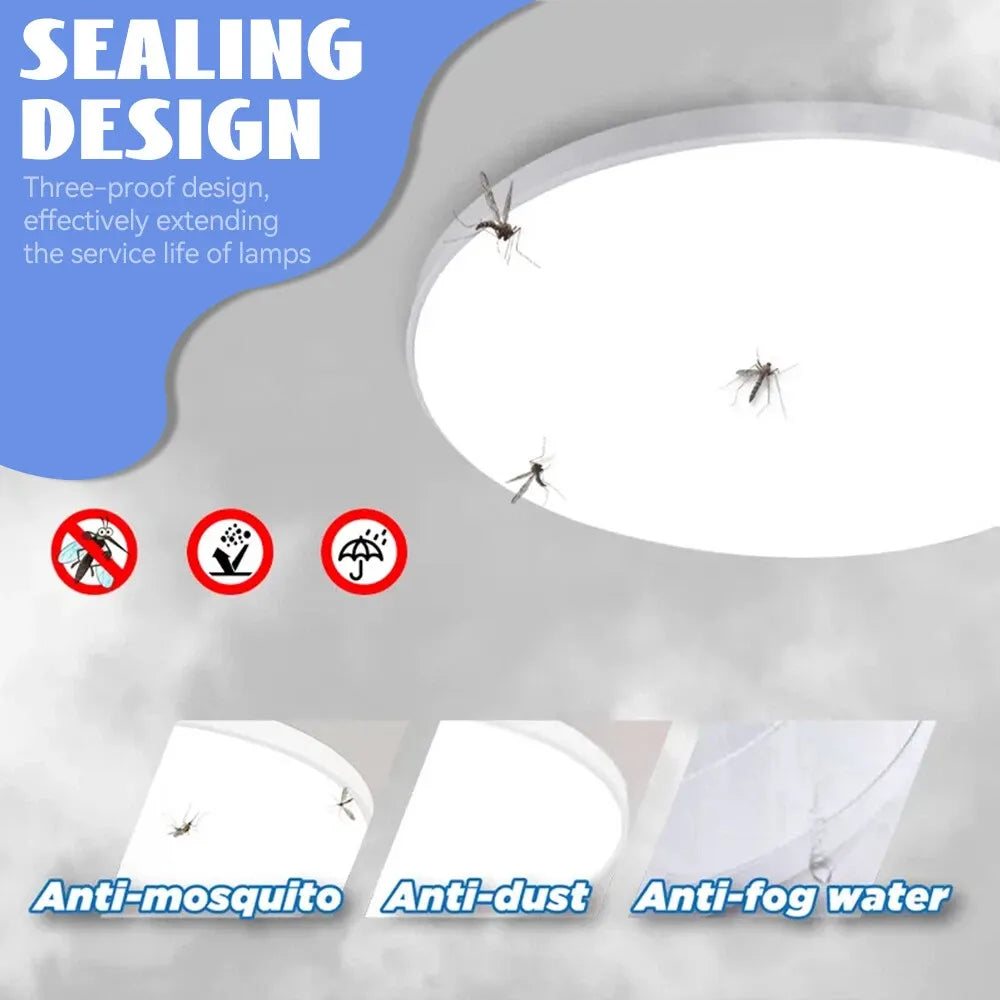 Oyster light back view with mounting holes and wiring points for setup.